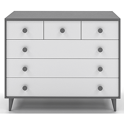 ���� ����� ������ ������ ���������