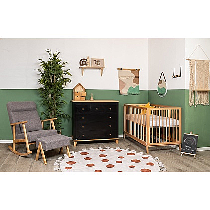 ���� ����� ������ ������ ���������