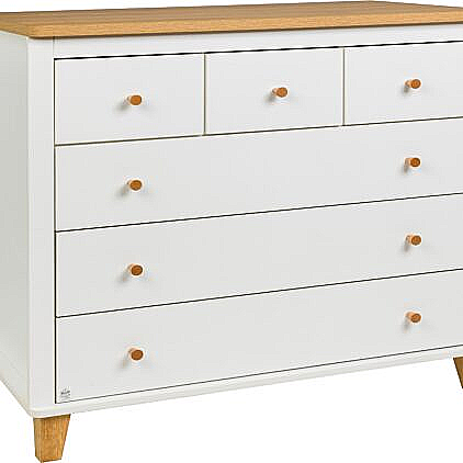 ������ ���� ������ ������ ���������