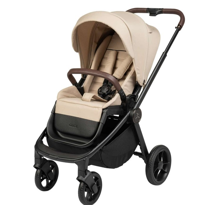 ���� ����� ���� ����-  sport line -Cielo XL