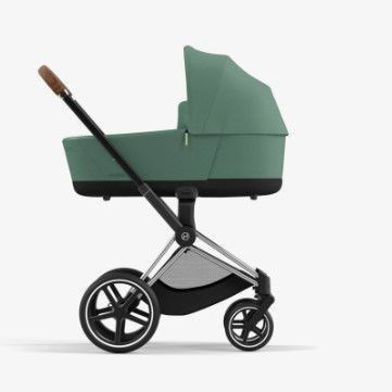 ����� ����� ��������� ����� 5 ������- Dragonfly �����-����� - bugaboo