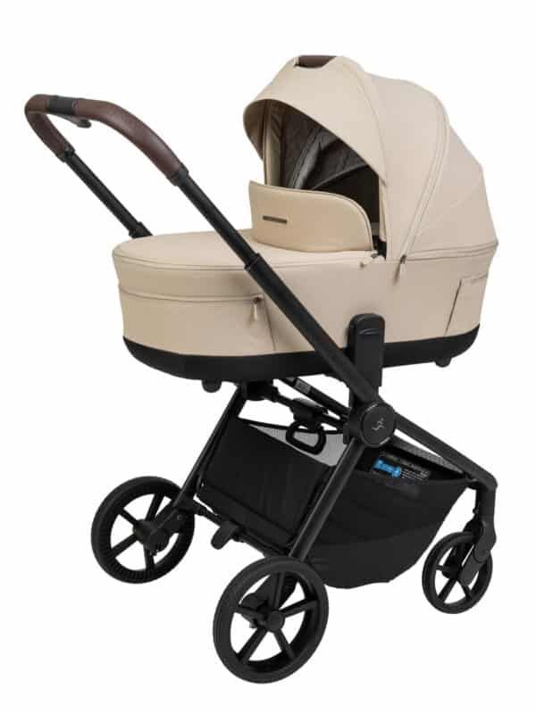 Sport Line-Cielo XL- ����� ���� ����� ���� 2025-���� ���� ���