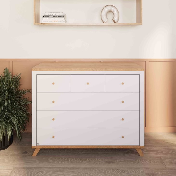��� ������ ����� ������ ���� ��� COLLECTION 2025