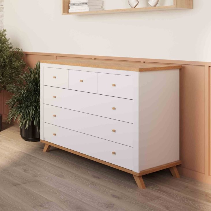 ��� ������ ����� ������ ���� ��� COLLECTION 2025