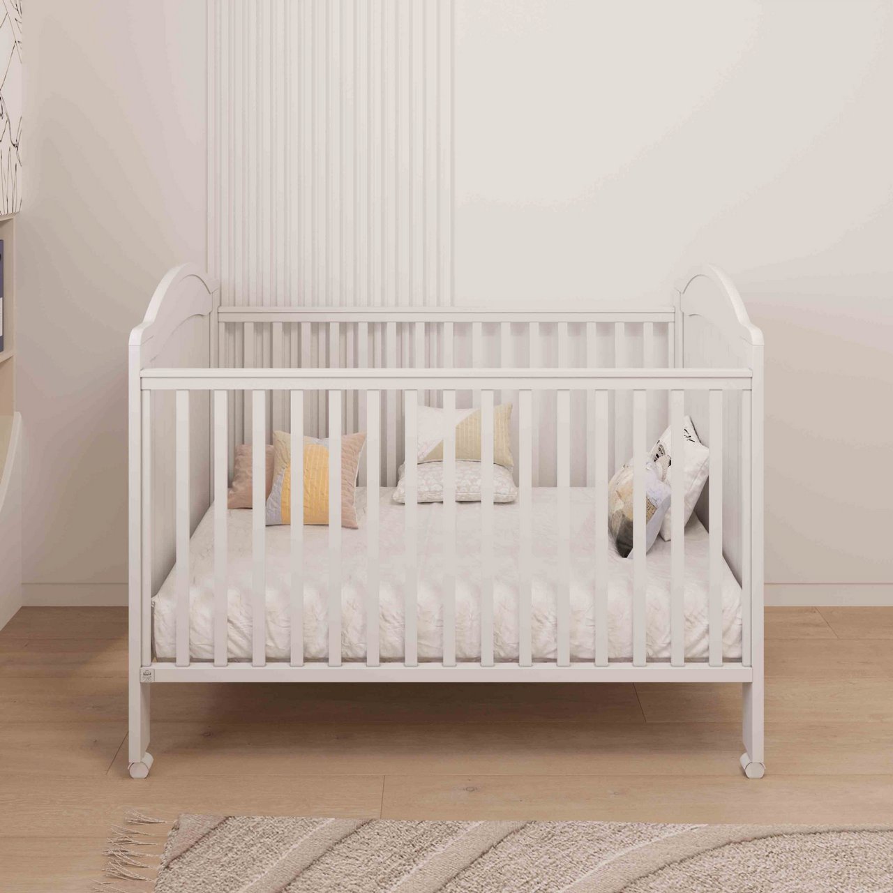 ��� ������ ����� ������ ���� ��� COLLECTION 2025