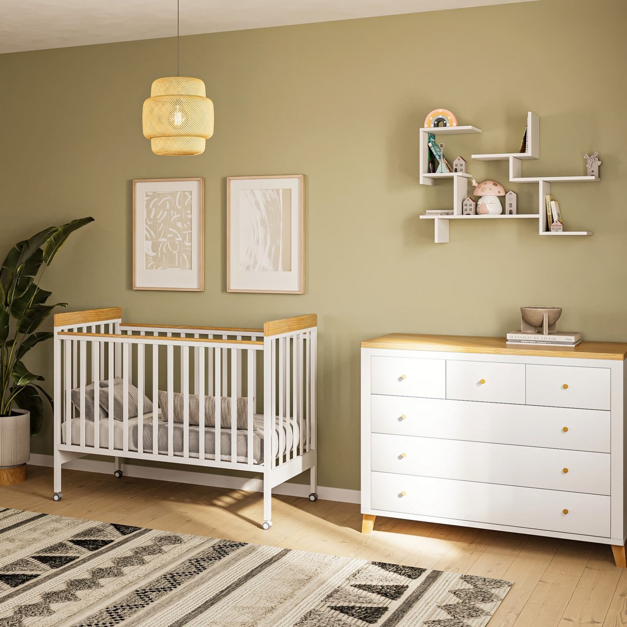 ��� ������ ����� ������ ���� ��� COLLECTION 2025