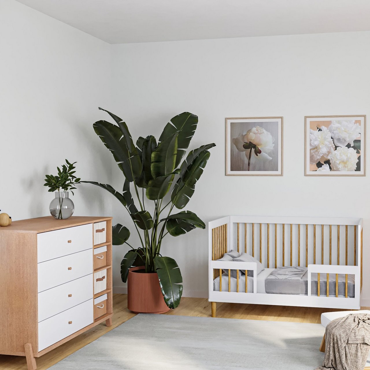 ��� ������ ����� ������ ���� ��� COLLECTION 2025