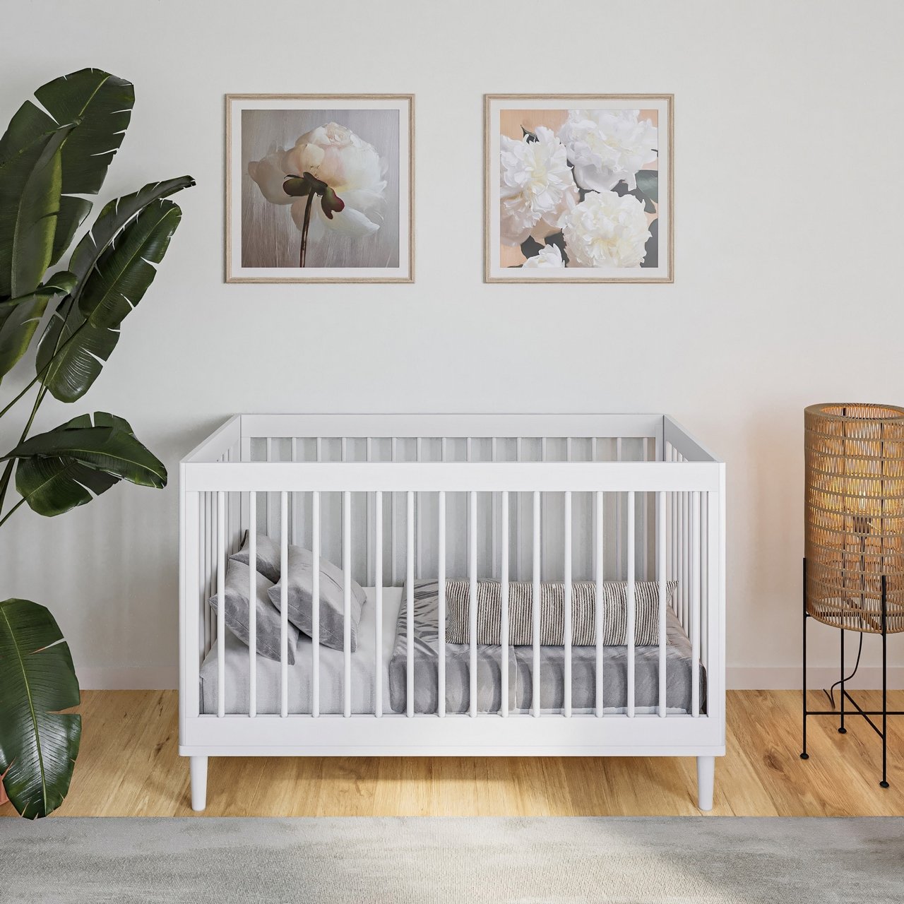 ��� ������ ����� ������ ���� ��� COLLECTION 2025