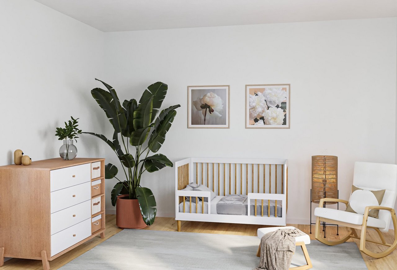 ��� ������ ����� ������ ���� ��� COLLECTION 2025