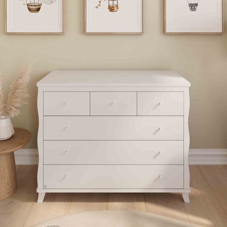 ��� ������ ����� ��� ��� COLLECTION 2025