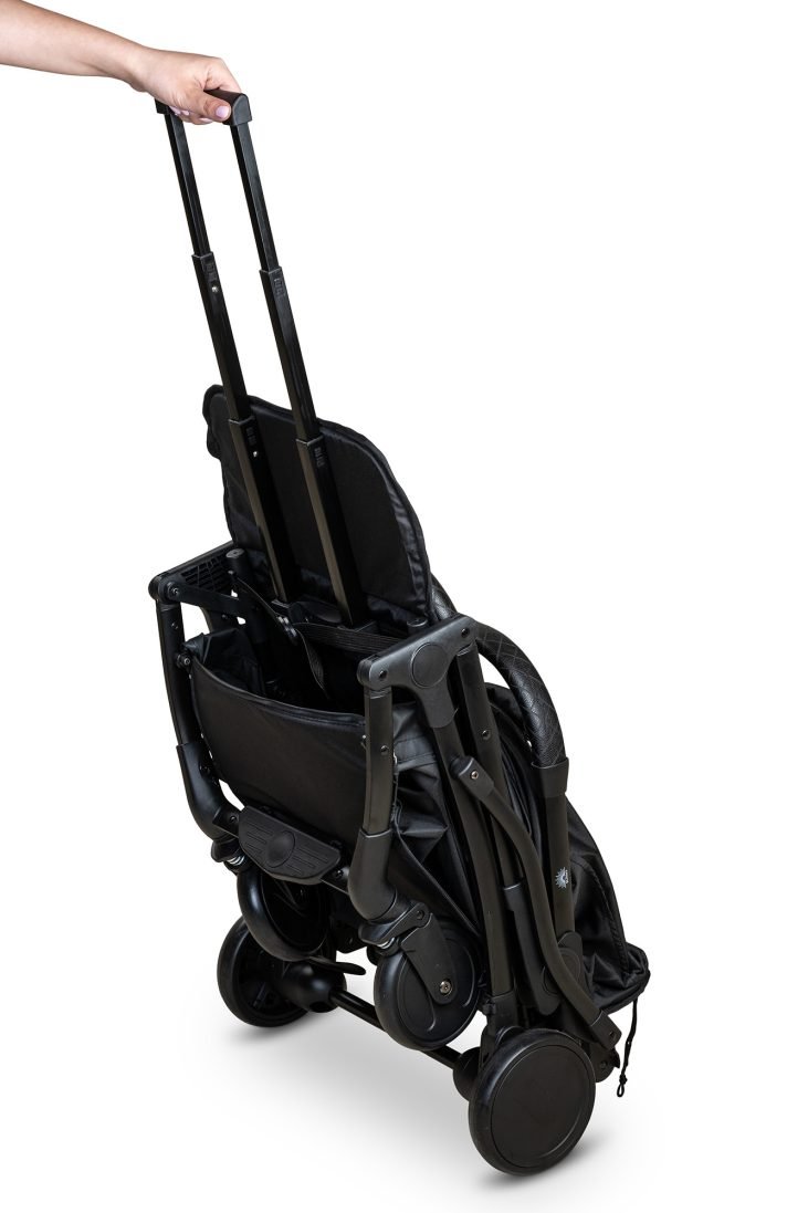 ������ ���� ���� ��� �����