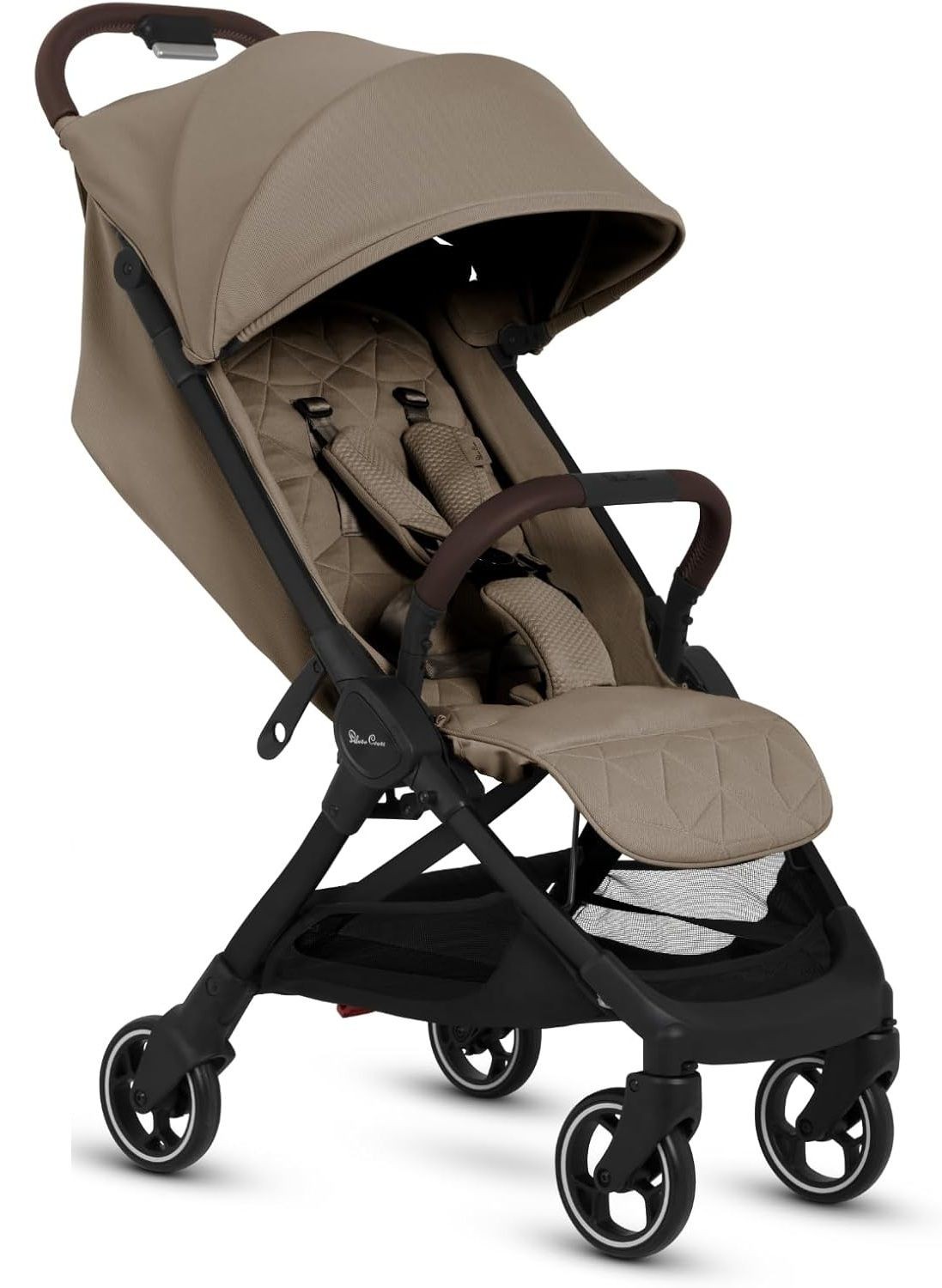 ������ clic- ���� ���� ����� ����-���� Conifer-���� �����