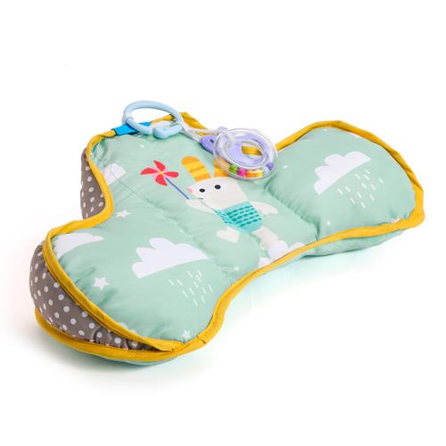 ���� ��������� TAF TOYS