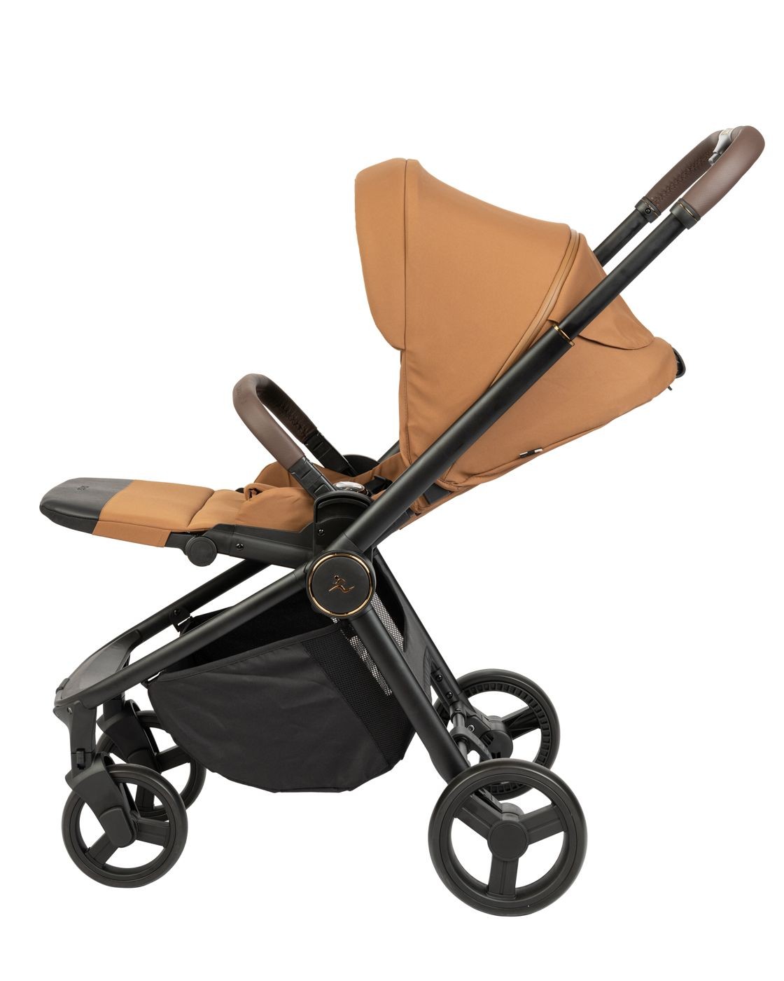 ���� CIELO BASIC Z- Sport Line  - ����� ���� ����� ������  2026-����