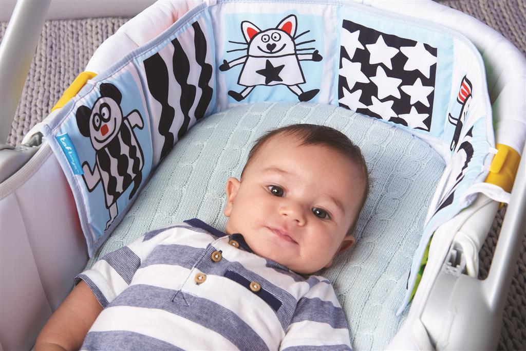 ��� ����� �� ������� Taf Toys